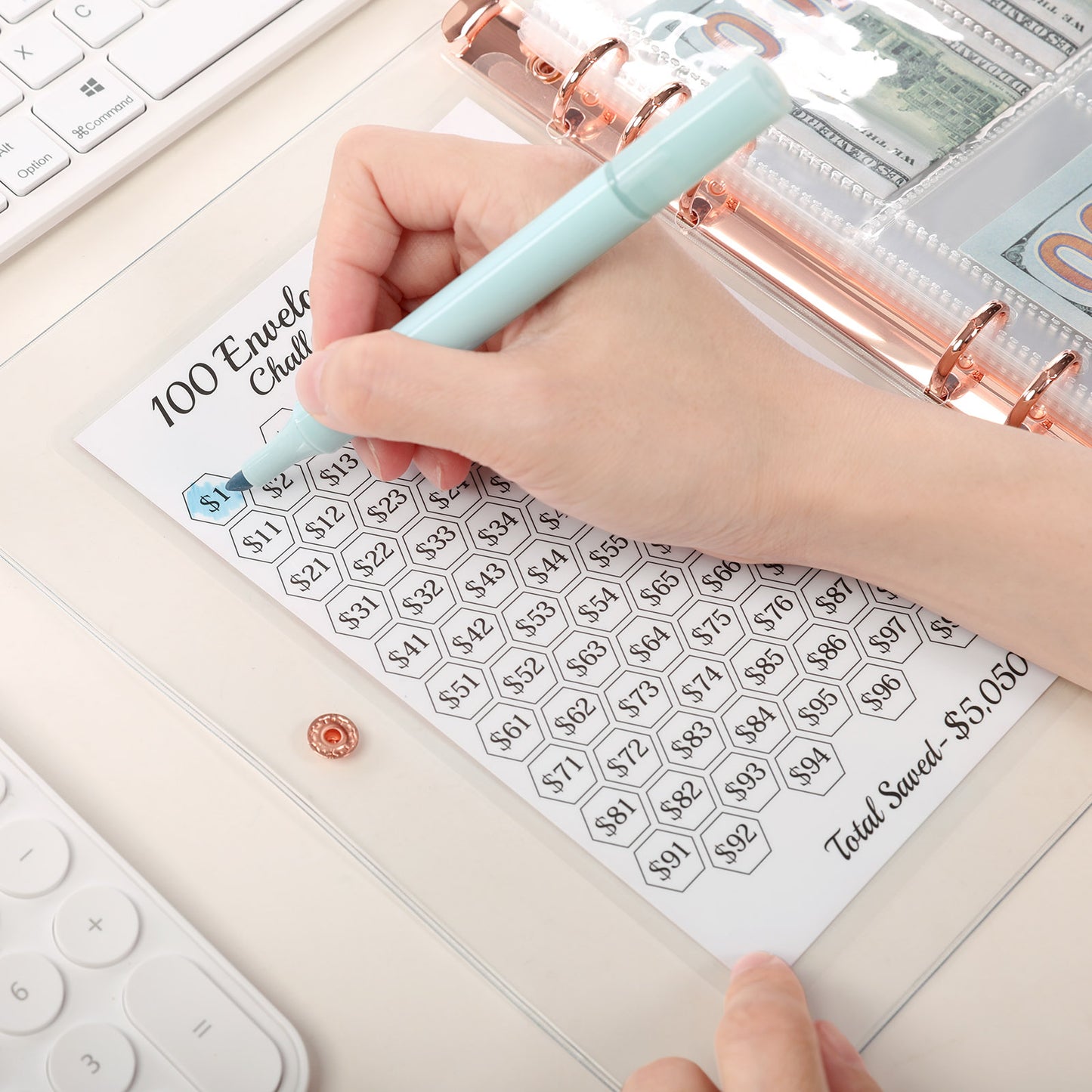 SKYDUE 100 Envelopes Money Saving Challenge Binder, Money Saving Binder with Laminated $5050 Tracker Sheet & Pre-numbered Pockets