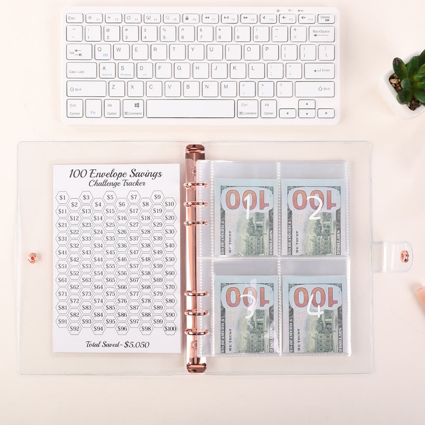 SKYDUE 100 Envelopes Money Saving Challenge Binder, Money Saving Binder with Laminated $5050 Tracker Sheet & Pre-numbered Pockets