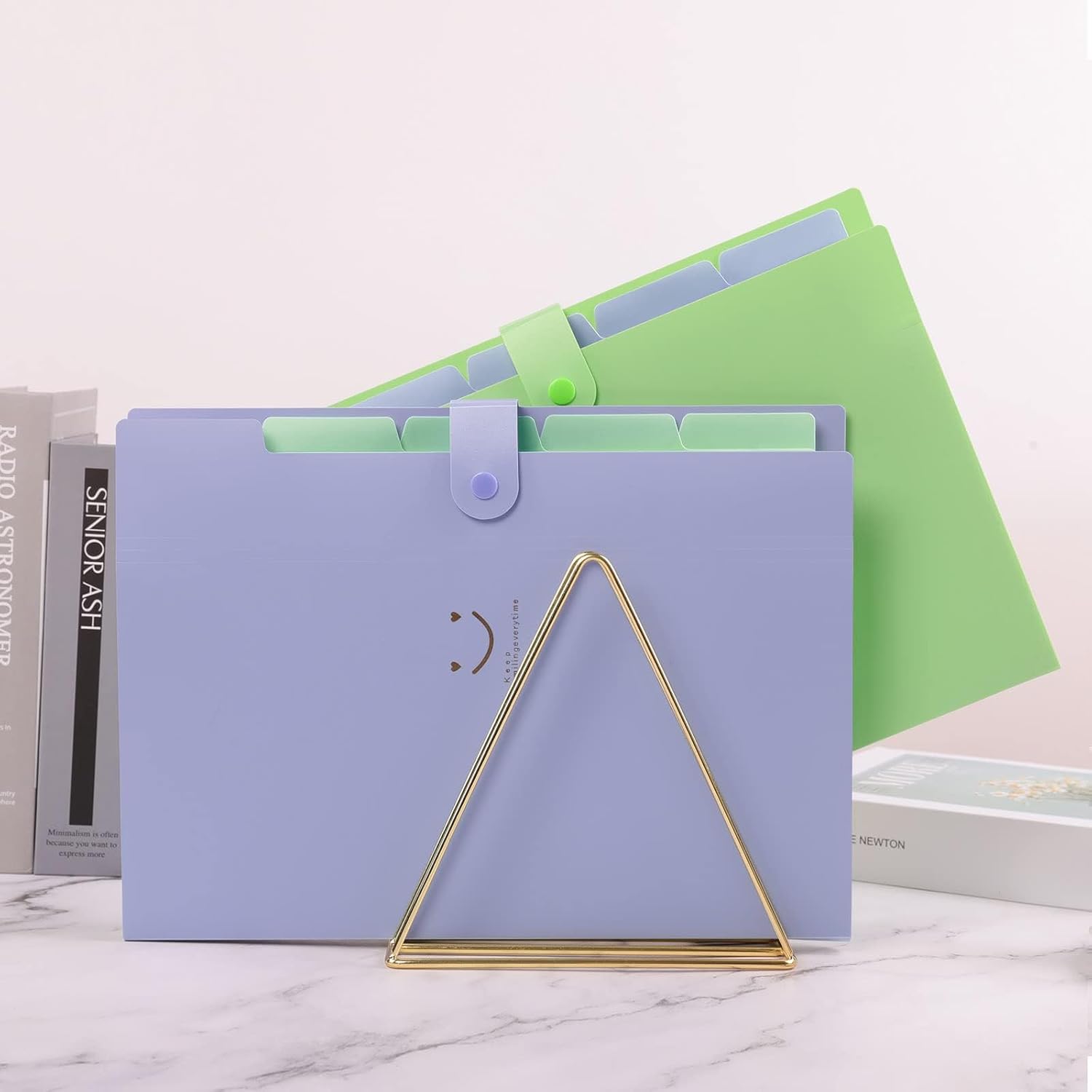 SKYDUE Expanding File Folders with 5 Pockets, Accordion File Organizer with 32 Labels, Portable Document Paper Organizer, Filing Folders, Letter / A4 Size, Pack of 4