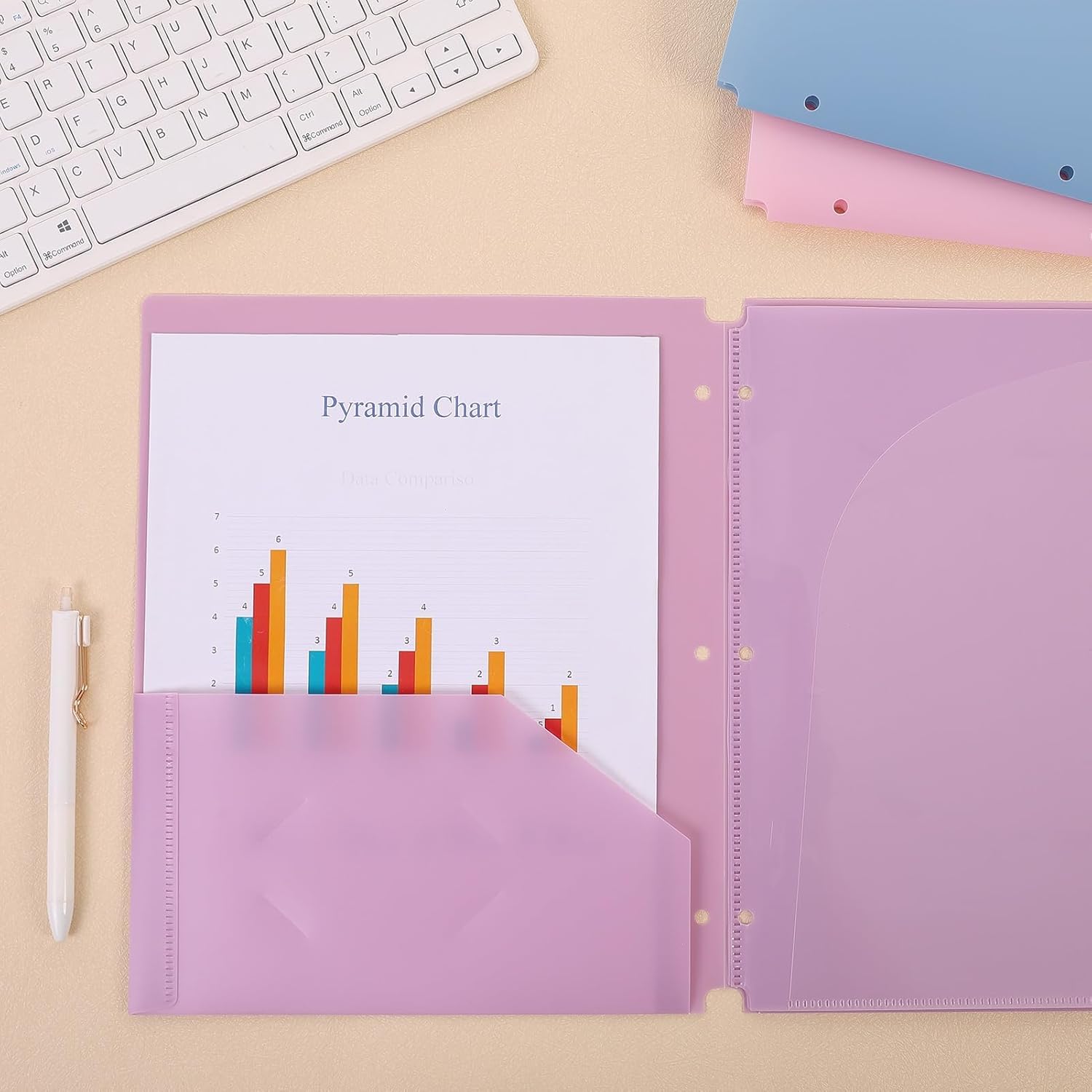 Plastic Pocket Folders，2 Pockets and 3 Dividers, Letter Size – Fits 3-Ring Binders – School Folders for Students & Office Use – Pink & Purple