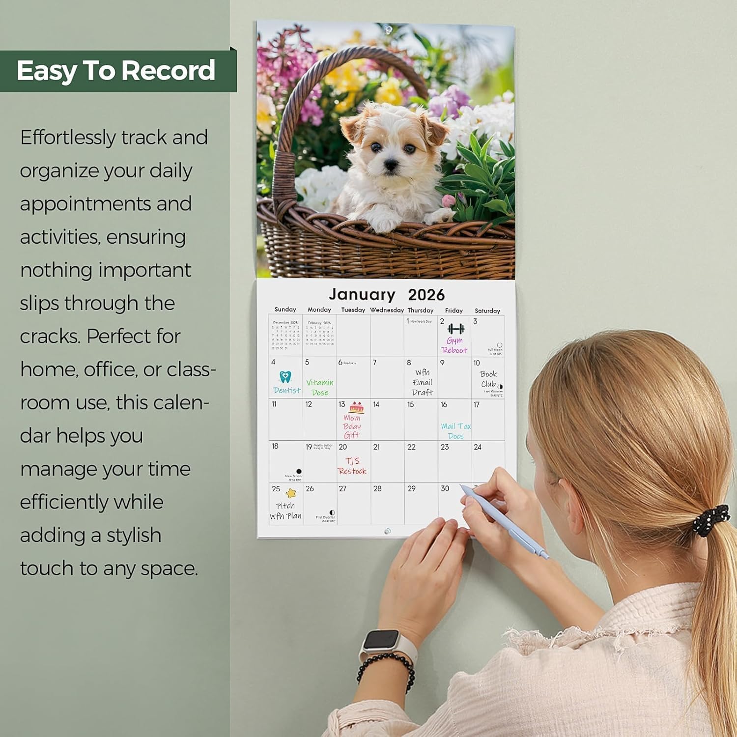 SKYDUE 2026 Wall Calendar 12"x24" Opened, 18-Month Puppy Dog Calendar from January 2026 to June 2027 with Stickers, Thick Paper Monthly Calendar for Home Office Organizing & Planning