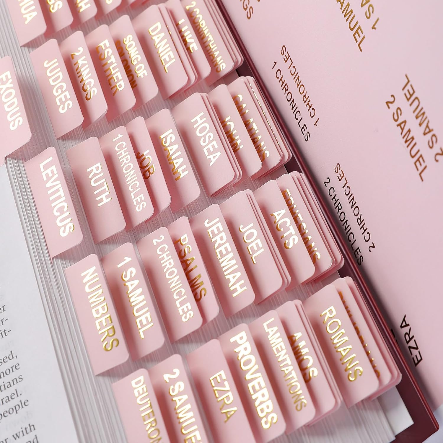 Laminated Bible Tabs for Women, 100 Tabs, Bible Book Tabs for Study Bible, Large Print Bible Chapter Tabs(Gold Foil Embossed Lettering), Bible Study Supplies, Cream Bible Labels Tabs