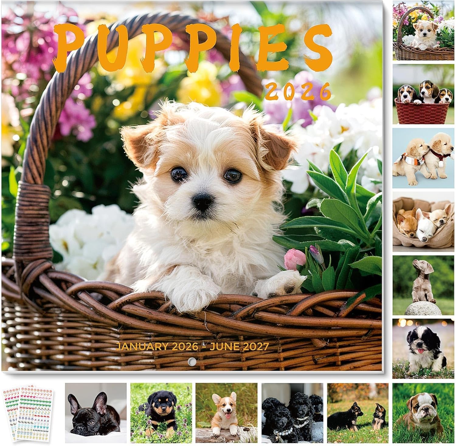SKYDUE 2026 Wall Calendar 12"x24" Opened, 18-Month Puppy Dog Calendar from January 2026 to June 2027 with Stickers, Thick Paper Monthly Calendar for Home Office Organizing & Planning