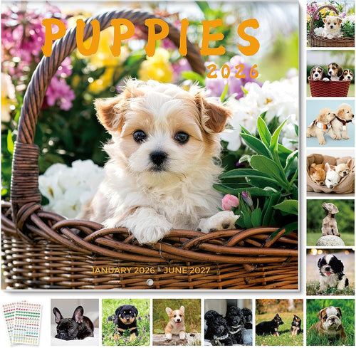 SKYDUE 2026 Wall Calendar 12"x24" Opened, 18-Month Puppy Dog Calendar from January 2026 to June 2027 with Stickers, Thick Paper Monthly Calendar for Home Office Organizing & Planning