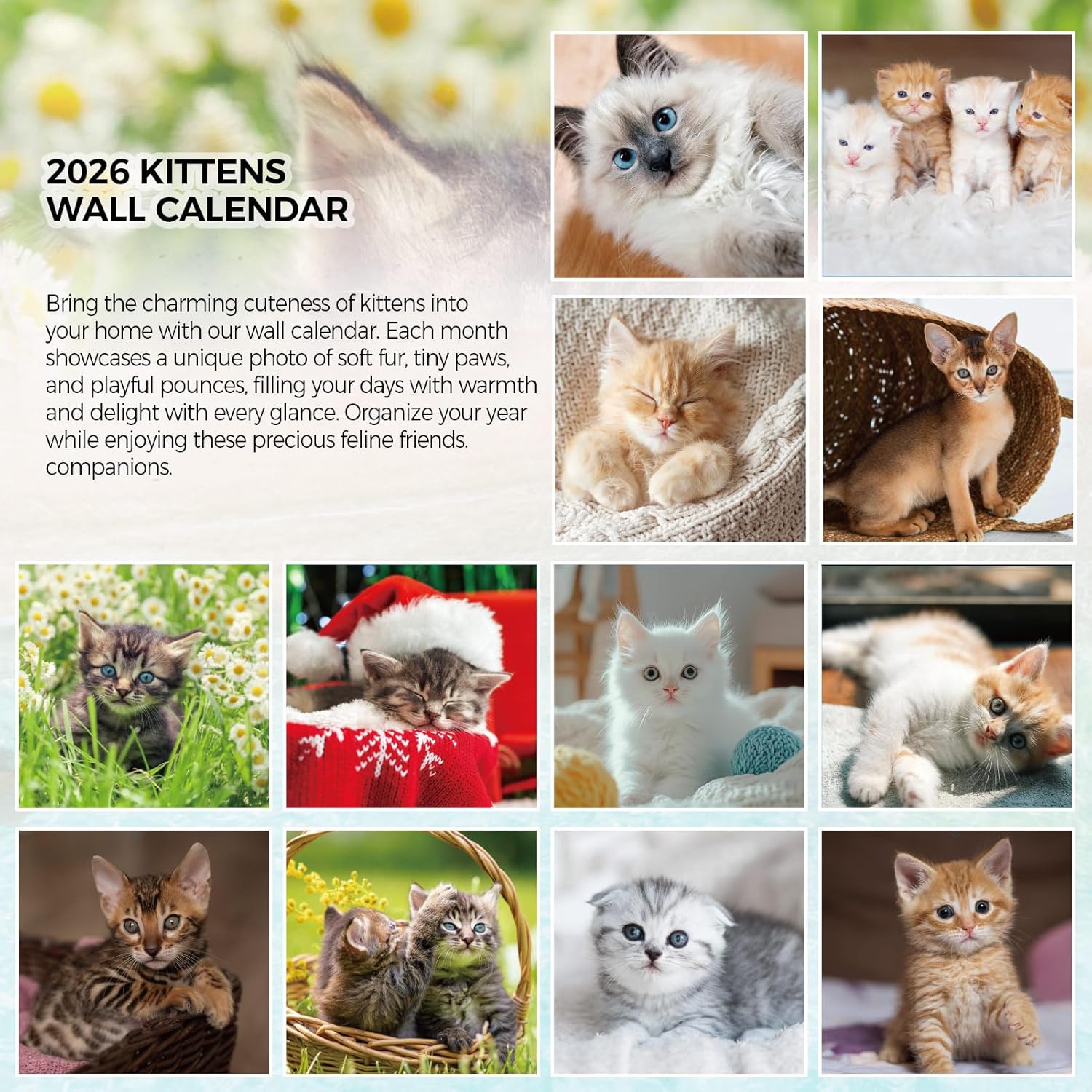 SKYDUE 2026 Wall Calendar 12"x24" Opened, 18-Month Puppy Dog Calendar from January 2026 to June 2027 with Stickers, Thick Paper Monthly Calendar for Home Office Organizing & Planning