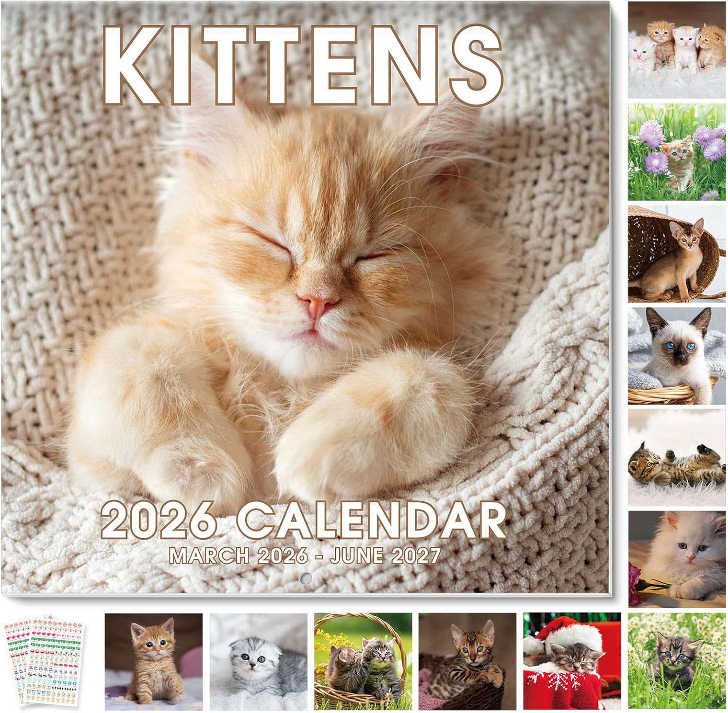 SKYDUE 2026 Wall Calendar 12"x24" Opened, 18-Month Puppy Dog Calendar from January 2026 to June 2027 with Stickers, Thick Paper Monthly Calendar for Home Office Organizing & Planning